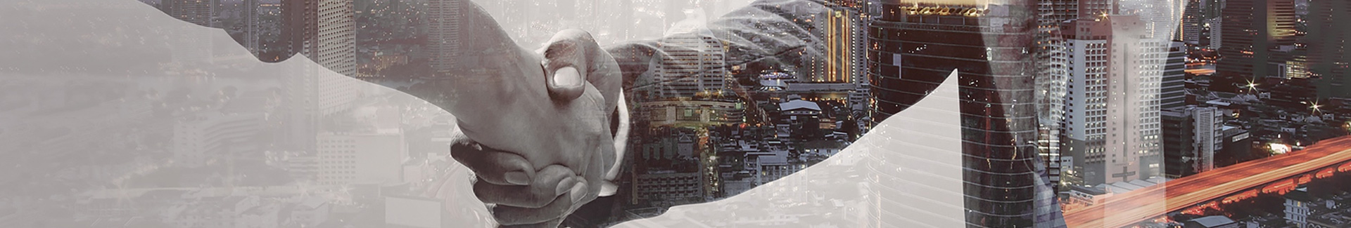 合(hé)作夥伴(bàn)